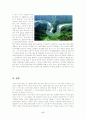 영월 동강 관광자원개발과 지역경제 발전과의 연계성 18페이지