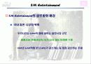 SM엔터테인먼트 해외시장진출전략(A+레포트) 8페이지