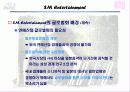 SM엔터테인먼트 해외시장진출전략(A+레포트) 10페이지