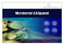 마이크로커널 (Microkernel) - L4/Iguana 1페이지