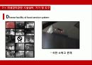 [급식의 개선방안 영문] 서울의 한 초등학교의 급식 실태와 문제점, 미비사항 및 대책방안 영문 보고서 22페이지