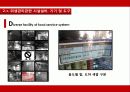 [급식의 개선방안 영문] 서울의 한 초등학교의 급식 실태와 문제점, 미비사항 및 대책방안 영문 보고서 35페이지