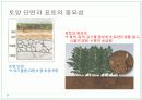 [환경과 인간] 토양환경 & 폐기물문제와 자원화 11페이지