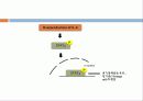 In vivo모델에서 Foxp3+ Regulatory T 세포의 기능과 발달에 있어서 IL-6의 과도한 생산이 미치는 영향  6페이지