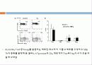 In vivo모델에서 Foxp3+ Regulatory T 세포의 기능과 발달에 있어서 IL-6의 과도한 생산이 미치는 영향  16페이지