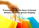 Consumer values, the theory of planned behavior(pt) 1페이지