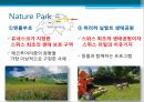 생태관광이란 관광 산업현황 스위스소개 생태관광정책 한국의 생태관광 사례 에코투어 15페이지